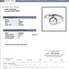 Chanel J12 Automatic Women's Watch With Ceramic Case and Strap Authentic Luxury Timepiece